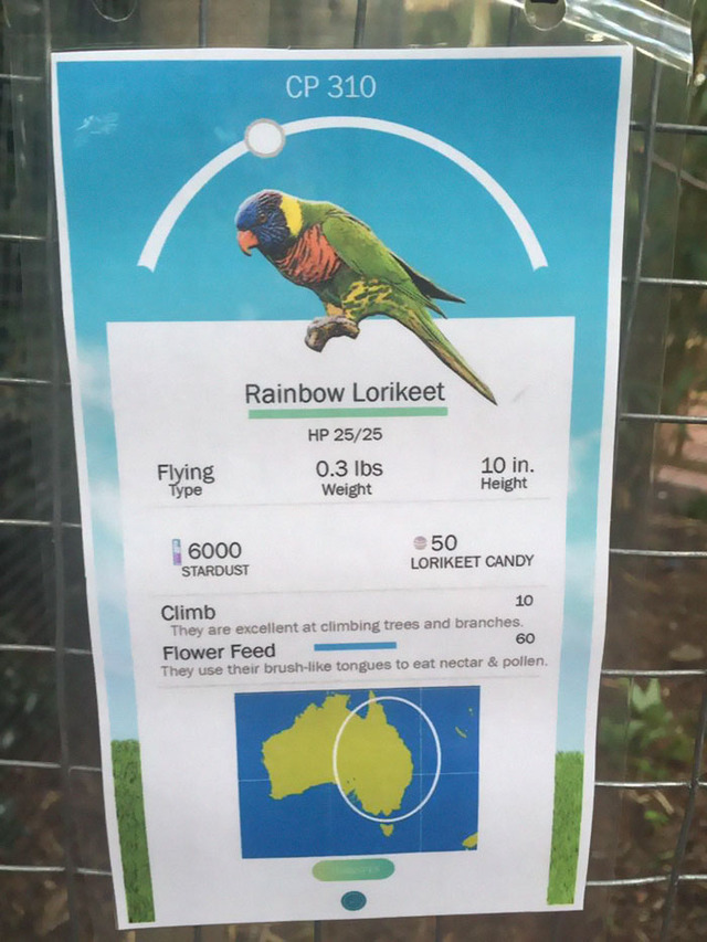 米動物園、『ポケモンGO』風のユニークな説明看板を作成…フラミンゴはCP140