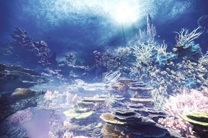 陸珊瑚の台地