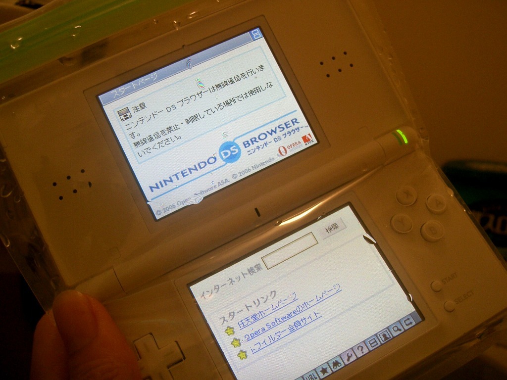 Ds 通信対戦 イメージポケモンコレクション