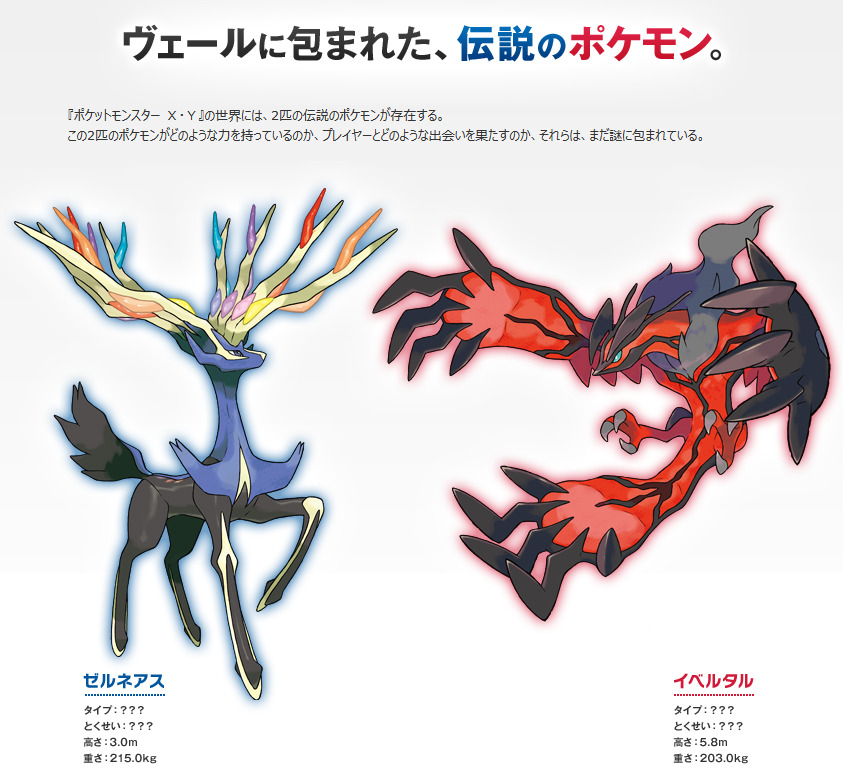 ポケモンx Y 海外版パッケージデザインが早くも決定 Xとyの文字も背景で強調 2枚目の写真 画像 インサイド