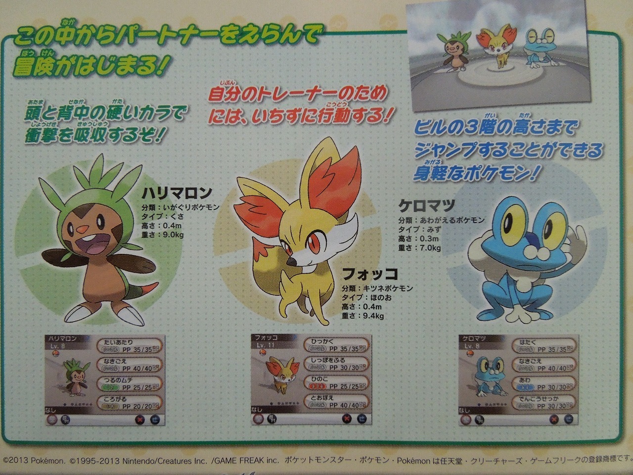 ポケットモンスターx Y 新ポケモンの詳細をチラシでチェック 訂正 2枚目の写真 画像 インサイド