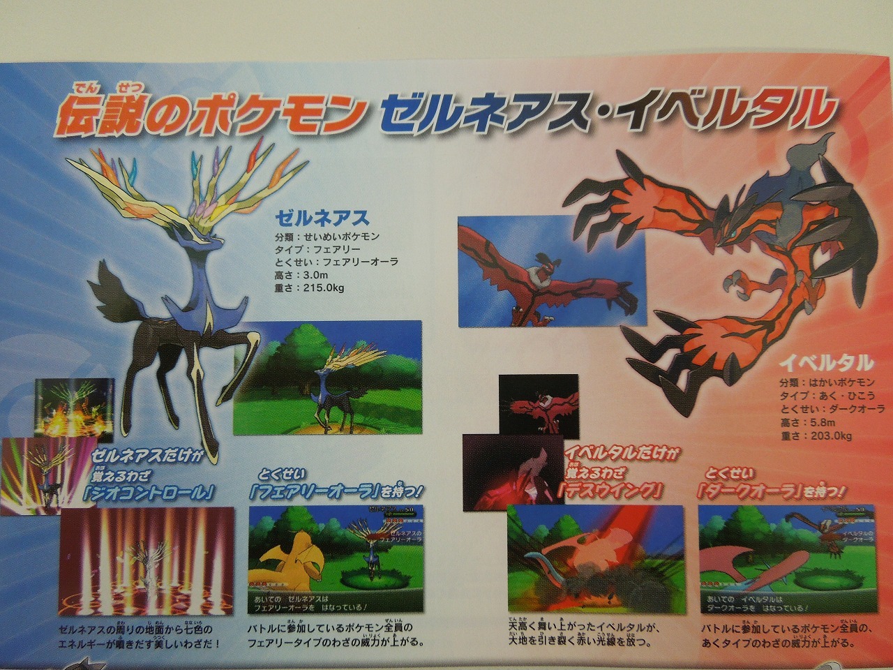 ポケットモンスターx Y 新ポケモンの詳細をチラシでチェック 訂正 7枚目の写真 画像 インサイド