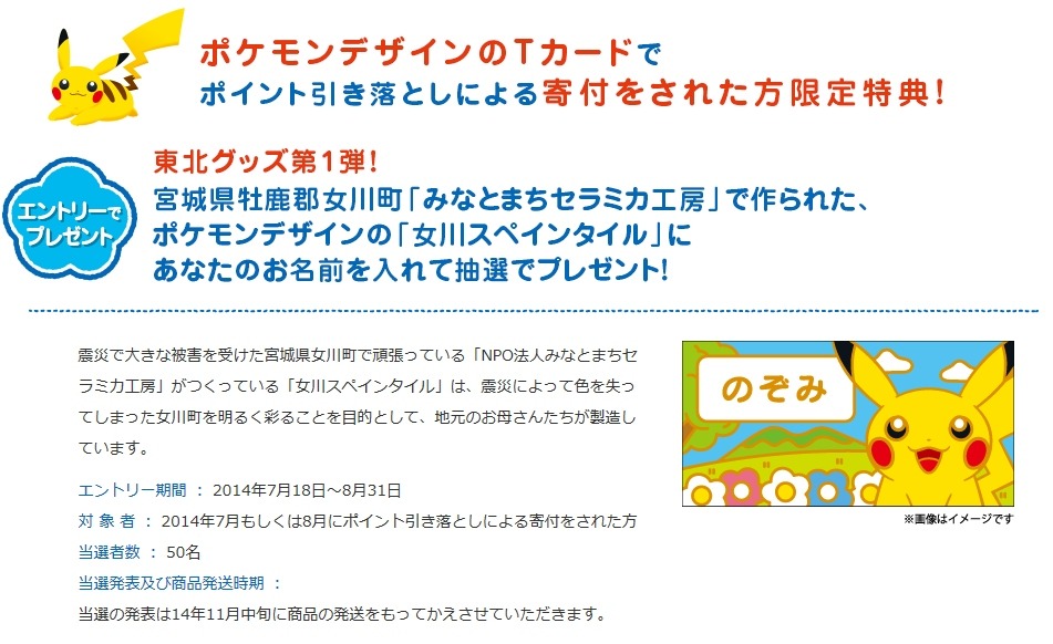 南相馬市にポケモンと遊べるインドアパークを作る みんなの遊び場プロジェクト が始動 ピカチュウtカードの特典グッズも公開 1枚目の写真 画像 インサイド