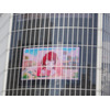 『テイルズ オブ　イノセンス R』渋谷で1日限定公開したスペシャルスキットを掲載 画像
