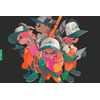 『スプラトゥーン2』敵はシャケ！協力プレイモード「サーモンラン」発表、amiiboではギア記録や記念撮影などが可能 画像