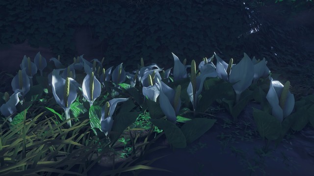 対馬で見た花の名前をあなたは知っていますか？『Ghost of Tsushima』の美しい花々を観察！