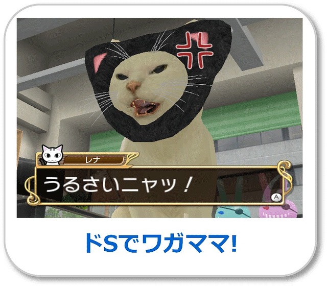 女番社長レナWii』発売記念スペシャルイベント『猫パンチ体操コンテスト』が開催！ 1枚目の写真・画像 | インサイド