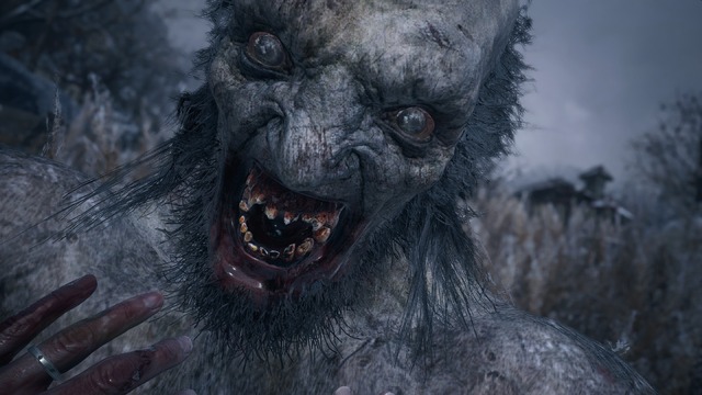 5月8日発売のシリーズ最新作 バイオハザード ヴィレッジ のクリーチャー ライカン ってどんなやつ 元ネタ 人狼 伝説をおさらい 特集 Update 10枚目の写真 画像 インサイド