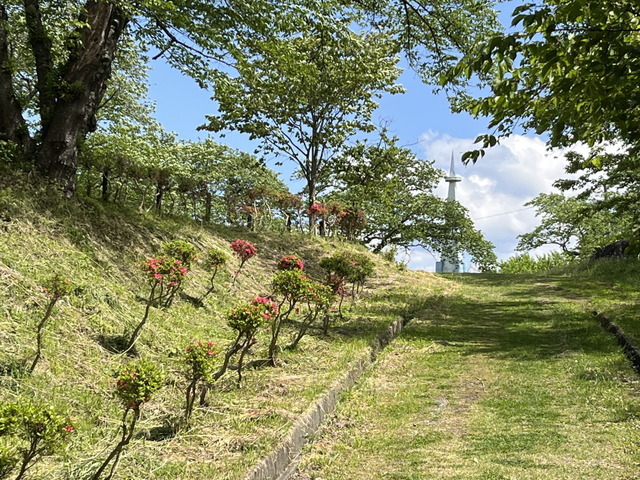 郷土史から始める『太閤立志伝V DX』の遊び方―地元を調べて世界観をより深めよう【特集】