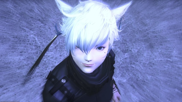 「ミコッテの防壁」が築かれた『FF14』の海外サーバー…野次馬お断り！？