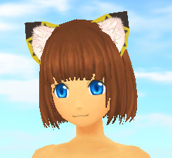 グランディア オンライン