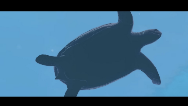 画面いっぱいに広がるのは…巨大なジンベエザメ！『フォーエバーブルー ルミナス』紹介映像&CMが公開―ダイバーに寄り添う海の生物にも注目