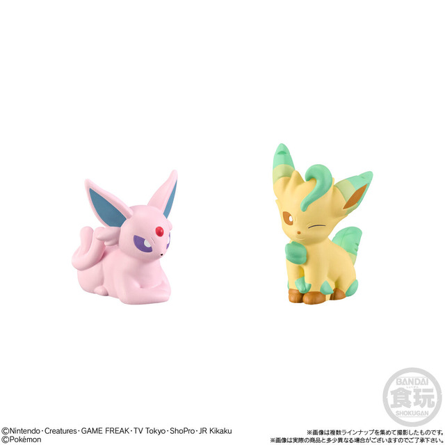 「ポケモンキッズ」最新弾に「アニポケ」リコやテラパゴスが初登場！ニャローテやシャリタツなどパルデア地方の人気ポケモンがズラリ