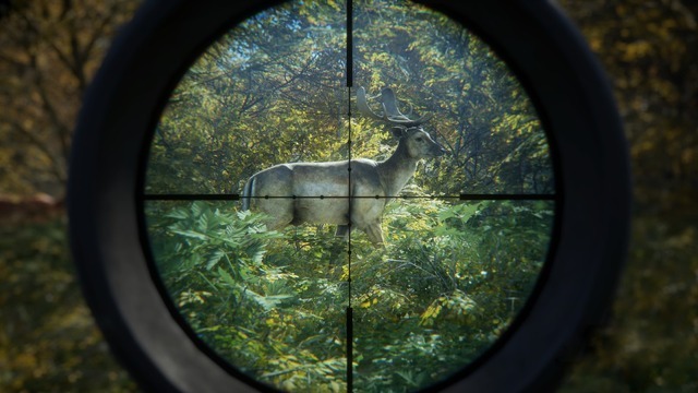【TGS2024】待望のコンソール版で名作狩猟ゲーが更に身近に！『theHunter: Call of the Wild』PS4版試遊レポート