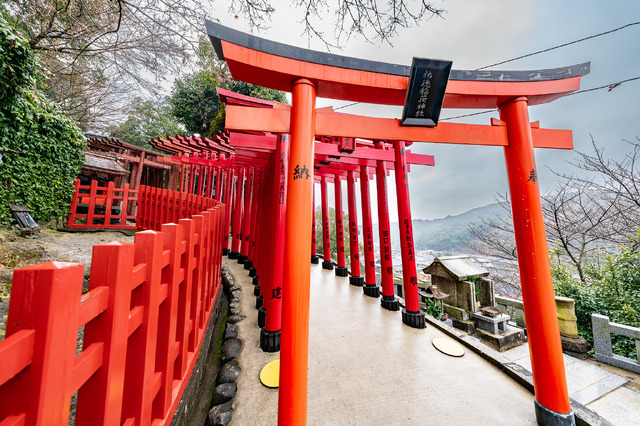 祐徳稲荷神社