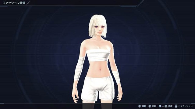 (C)Nintendo / MONOLITHSOFT