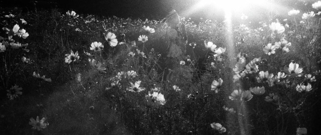 四季映姫／『東方Project』翠葉木（X:@310re45）【Leica M3+周Elcan+ILFORD DELTA3200】