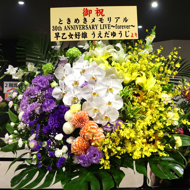 シリーズ30周年を締めくくるファン感涙の4時間！『ときメモ』30thライブレポ