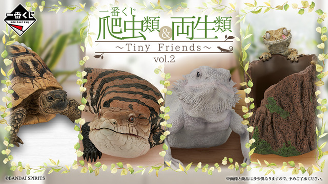 リアルで可愛い「一番くじ 爬虫類＆両生類」第2弾の全ラインナップ公開！ラストワン賞はペロッと舌を出したアオジタトカゲ