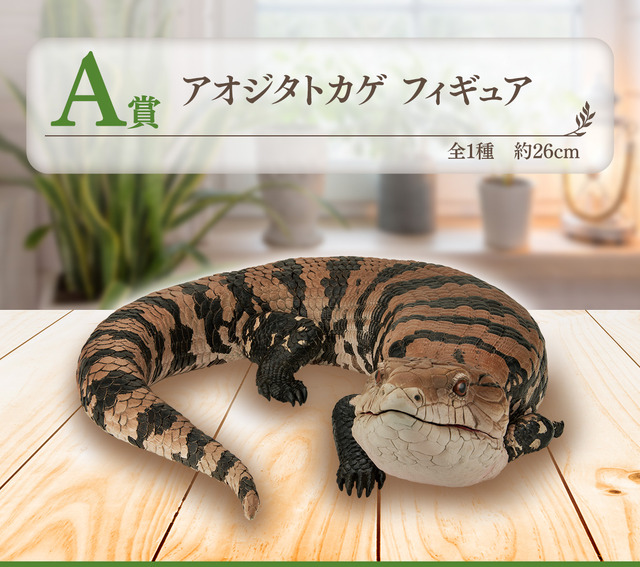 リアルで可愛い「一番くじ 爬虫類＆両生類」第2弾の全ラインナップ公開！ラストワン賞はペロッと舌を出したアオジタトカゲ