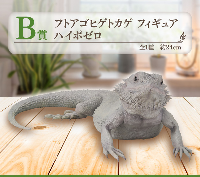 リアルで可愛い「一番くじ 爬虫類＆両生類」第2弾の全ラインナップ公開！ラストワン賞はペロッと舌を出したアオジタトカゲ