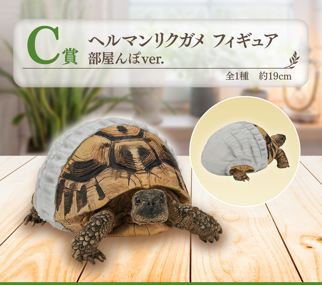 リアルで可愛い「一番くじ 爬虫類＆両生類」第2弾の全ラインナップ公開！ラストワン賞はペロッと舌を出したアオジタトカゲ