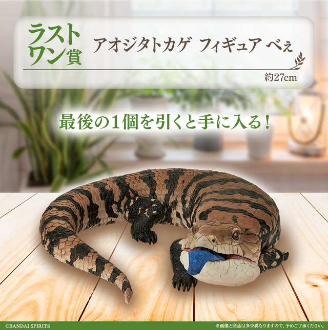 リアルで可愛い「一番くじ 爬虫類＆両生類」第2弾の全ラインナップ公開！ラストワン賞はペロッと舌を出したアオジタトカゲ