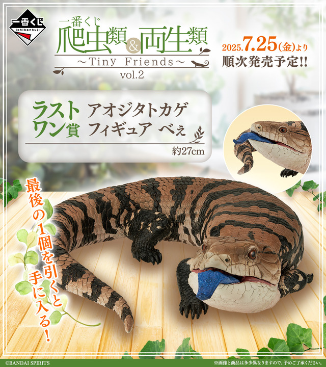 リアルで可愛い「一番くじ 爬虫類＆両生類」第2弾の全ラインナップ公開！ラストワン賞はペロッと舌を出したアオジタトカゲ