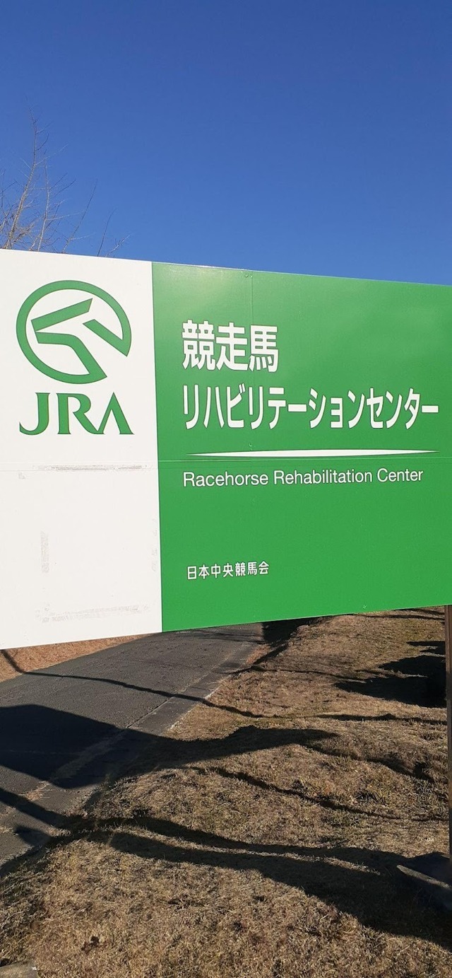 『ウマ娘』新シナリオ「温泉郷編」は、休むことで強くなる！？ ノスタルジックな昭和歌謡にも注目【先行体験レポ】