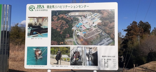 『ウマ娘』新シナリオ「温泉郷編」は、休むことで強くなる！？ ノスタルジックな昭和歌謡にも注目【先行体験レポ】