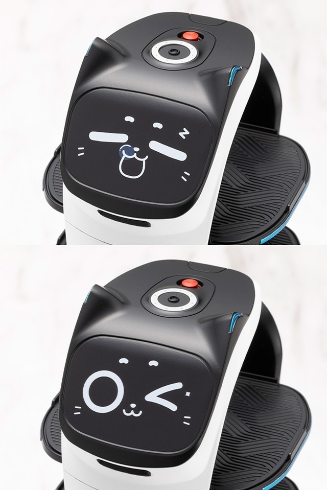 ファミレスでお馴染み！ネコ型配膳ロボット「ベラボット」が大きめなサイズのプラモデルに