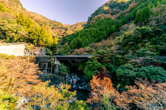 四季美谷温泉の周囲