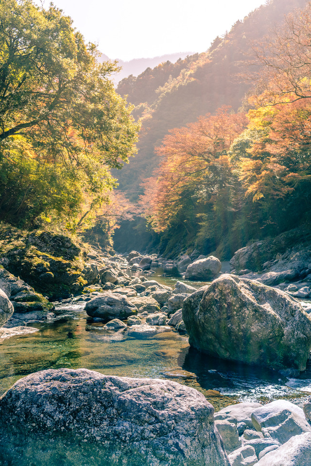 四季美谷温泉近くの河原