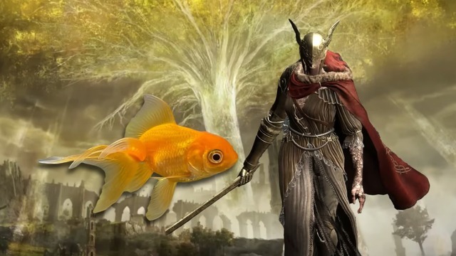 『エルデンリング』で強豪ボスを攻略した“金魚”が逝去―“マレニア”も下した英雄が細菌感染症でこの世を去る