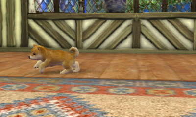 nintendogs + cats