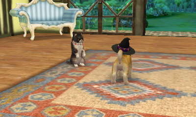 nintendogs + cats