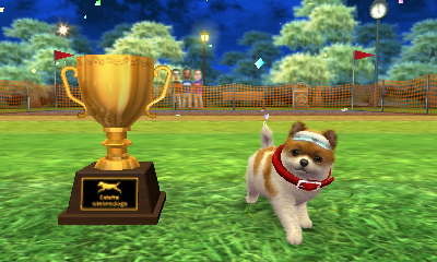 nintendogs + cats