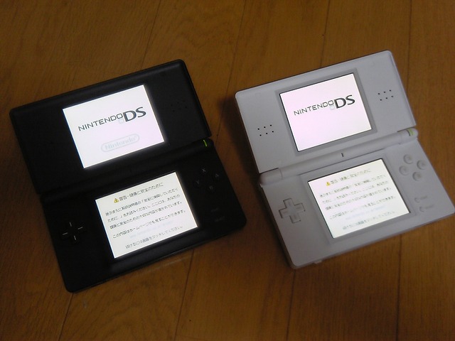 DSLite スリークブラック インプレッション