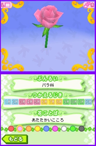 お花屋さん物語