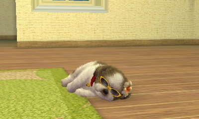 nintendogs + cats