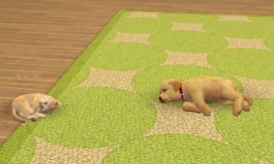 nintendogs + cats