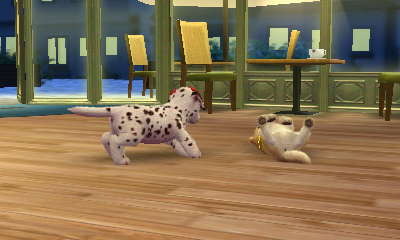 nintendogs + cats