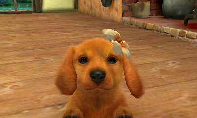 nintendogs + cats