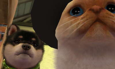 nintendogs + cats