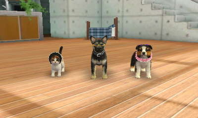 nintendogs + cats