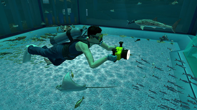 Sony Aquarium VR 黒潮の海