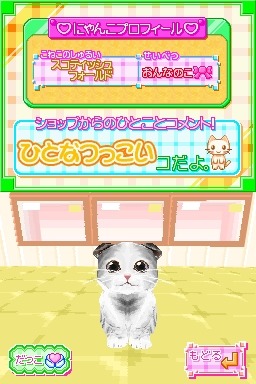 かわいい子猫DS