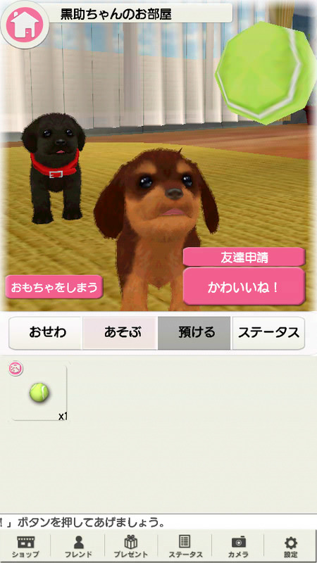 子犬と一緒に暮らすソーシャルペットゲーム『どこでもペット かわいい子犬』 