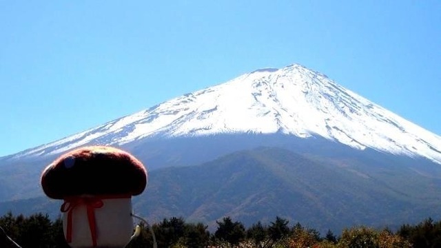 全国の受験生のために登頂を決意