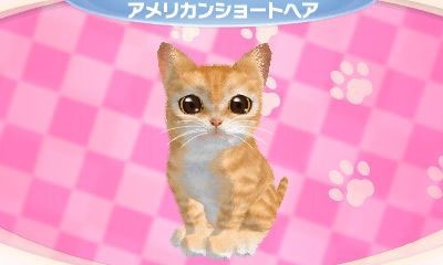 かわいい子猫３Ｄ